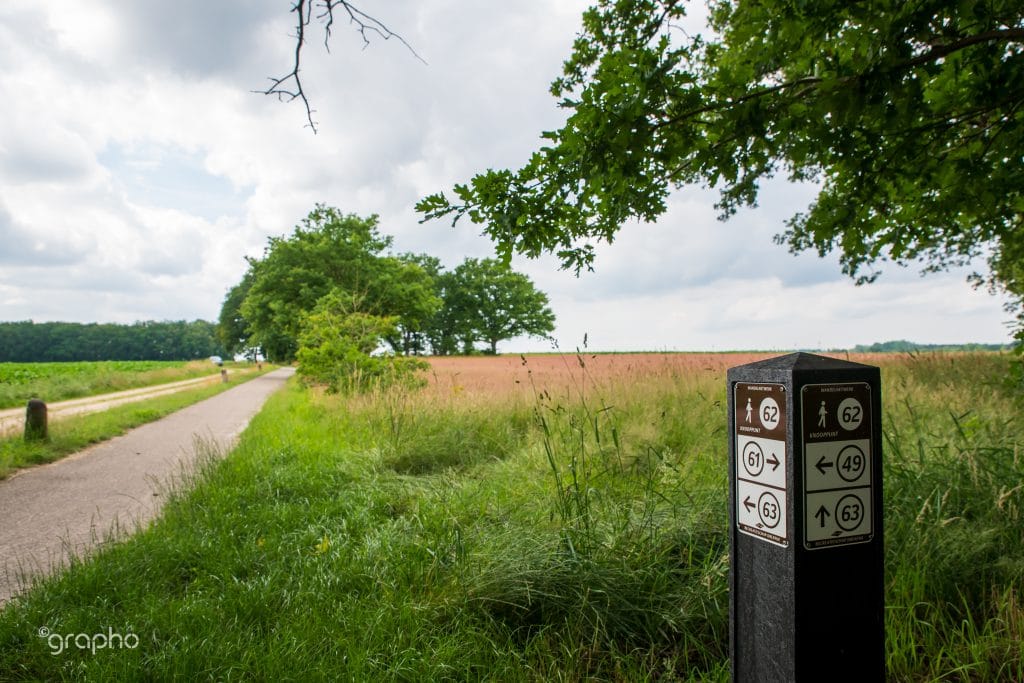 Wandelvakantie over de Hondsrug