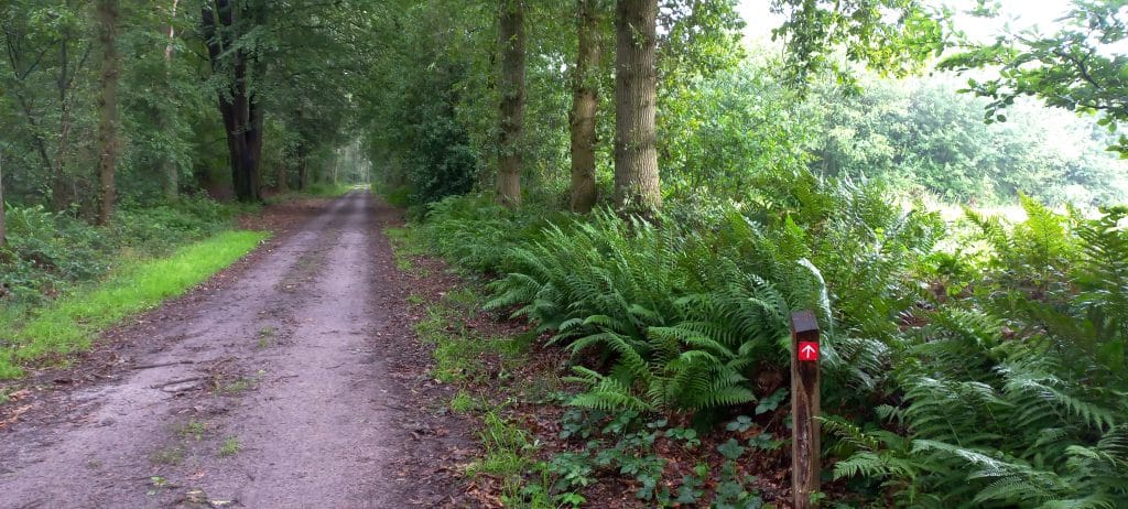 Korte schapenparkroute 3,7 km